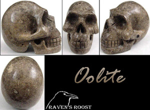 Raven's Orbicular Patterns Carved Fossil Oolite Crystal Skull
