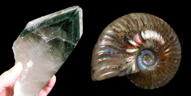 Himalayan Quartz Crystal Clusters and Madagascar Ammonites