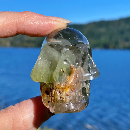 Raven's Lodolite Scenic Garden Quartz Crystal Skull Carving