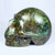 Raven's Classic Style Larger Than Life Size African Turquoise Chrysocolla Crystal Skull