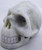 Raven's Carved Lantian Jade Crystal Skull