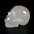 Himalayan Quartz Crystal Skull Life Size 7.25" inches