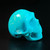 Raven's Insane Mini Classic Style Natural Gem Turquoise Crystal Skull