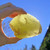 Ultra Rare Libyan Desert Glass Museum Quality Mineral Specimen