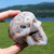 Cosmic Agate Crystal Skull 3.1"