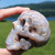 Cosmic Agate Crystal Skull 3.1"