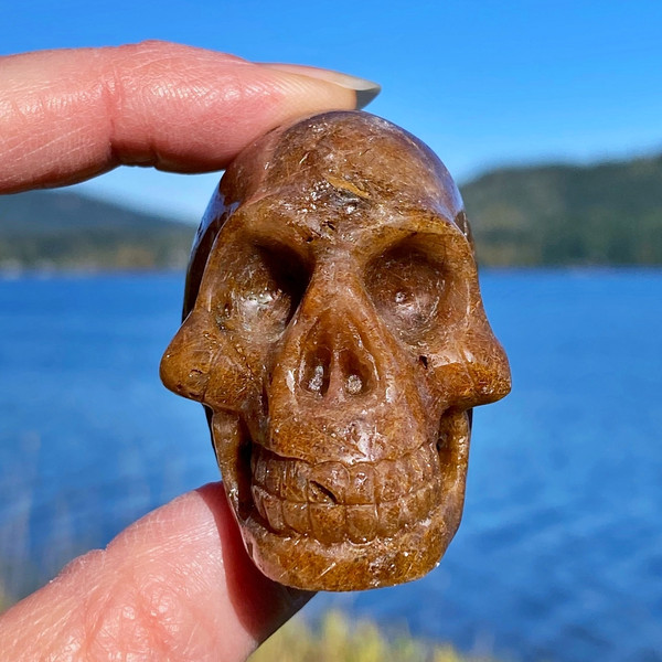 Raven's Rutilated Quartz Crystal Skull
