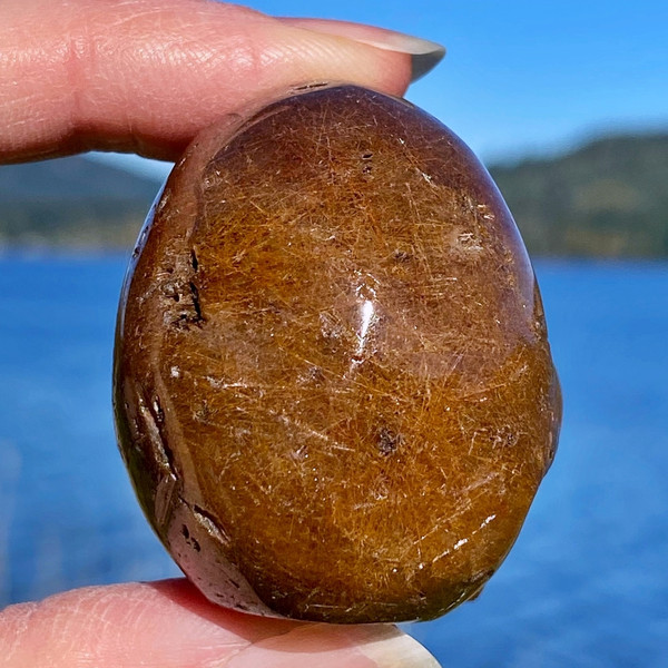 Raven's Rutilated Quartz Crystal Skull