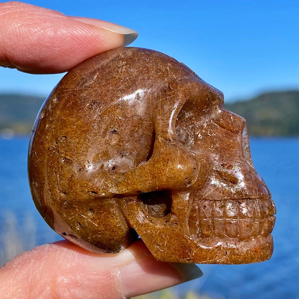 Raven's Rutilated Quartz Crystal Skull