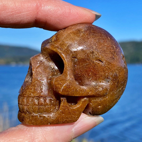 Raven's Rutilated Quartz Crystal Skull
