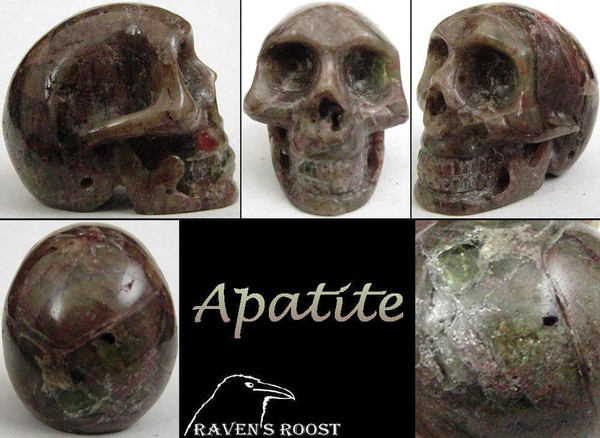 Raven's Carved Chatoyant Apatite Crystal Skull