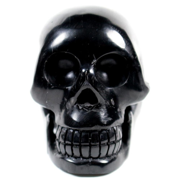 Fossil Jet Crystal Skull Siberia
