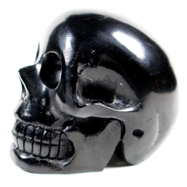 Fossil Jet Crystal Skull Siberia