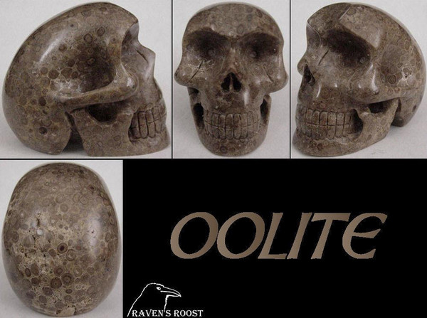 Raven's Carved Fossilized Orbicular Oolite Crystal Skull