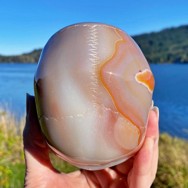 Raven's Carved Premium style Carnelian Agate Crystal Skull