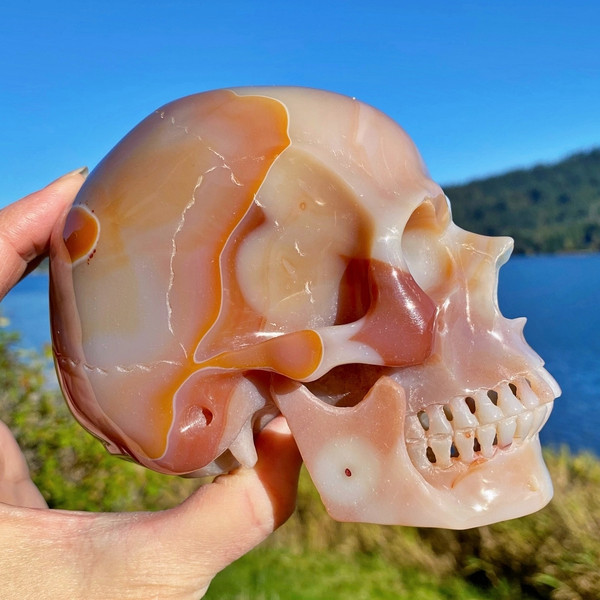 Raven's Carved Premium style Carnelian Agate Crystal Skull
