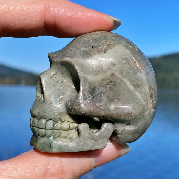 Raven's Carved Opalized-Fossilized Wood Crystal Skull