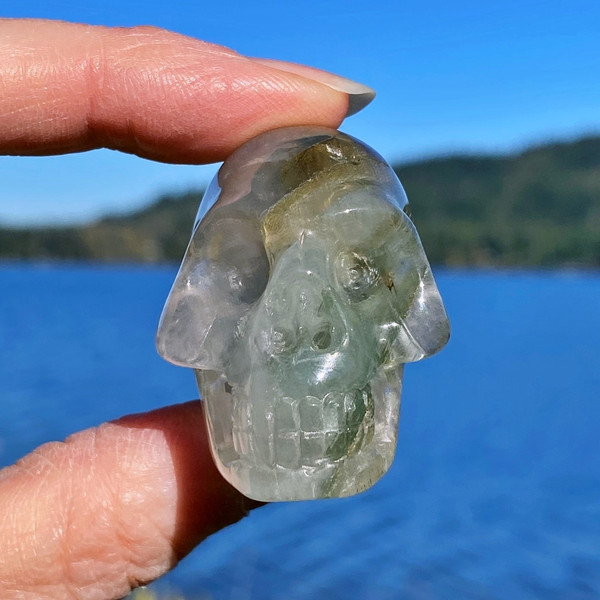 Lodolite Landscape Garden Quartz Crystal Skull