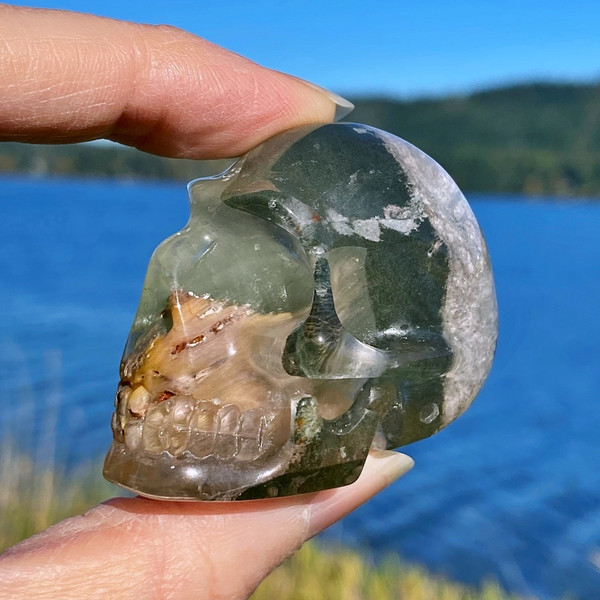 Raven's Carved Lodolite Quartz, Scenic Quartz, Garden Quartz Crystal Skull