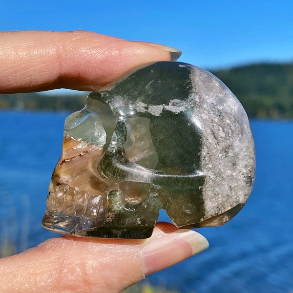 Raven's Carved Lodolite Quartz, Scenic Quartz, Garden Quartz Crystal Skull
