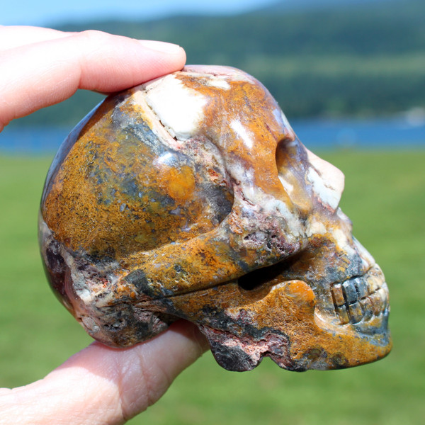 Rio Viejo Agate Crystal Skull 3.25"