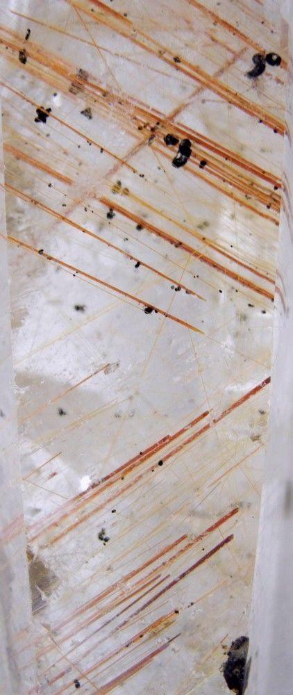 Raven's Bronze Needles Rutilated Quartz Crystal Skull Wand