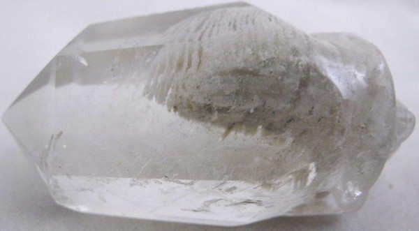 Raven's Amphibole Crystal Skull Wand Angel Phantom Quartz