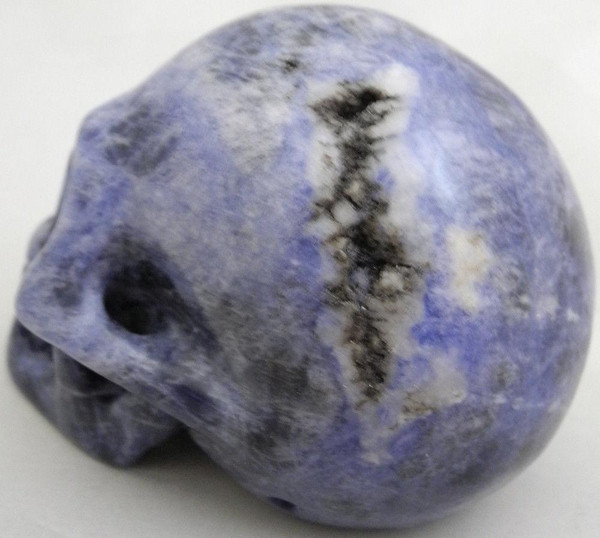 Raven's Carved Blue Sodalite Crystal Skull