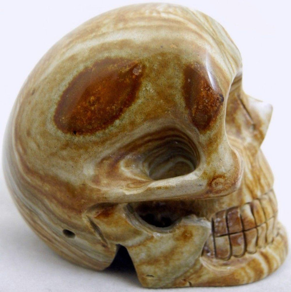 Raven's Carved Picture Jasper Crystal Skull 2