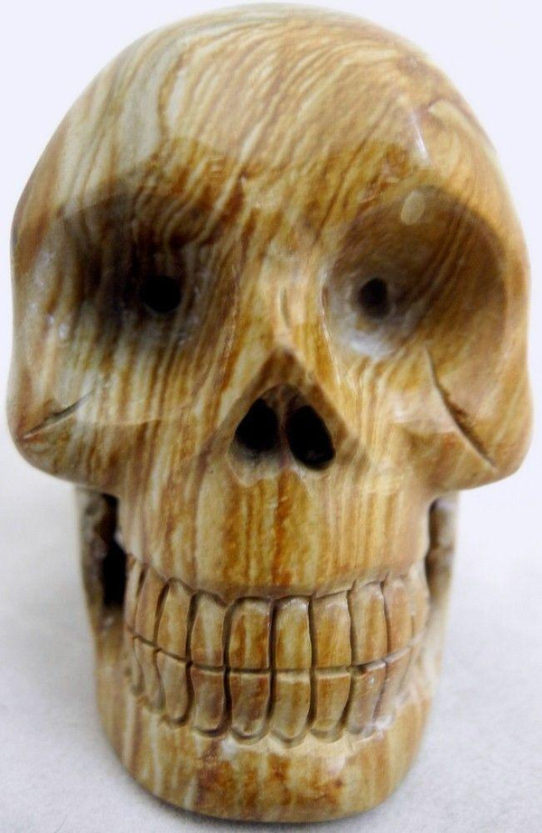 Raven's Hand Carved Picture Jasper Crystal Skull