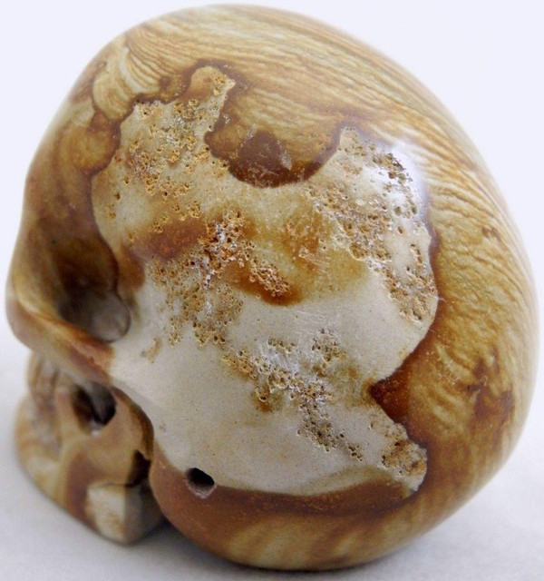 Raven's Hand Carved Picture Jasper Crystal Skull