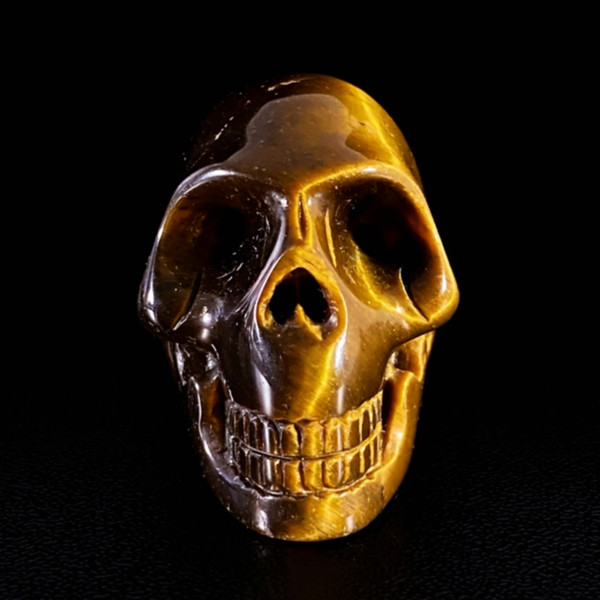 Raven's Carved Tigereye Crystal Skull