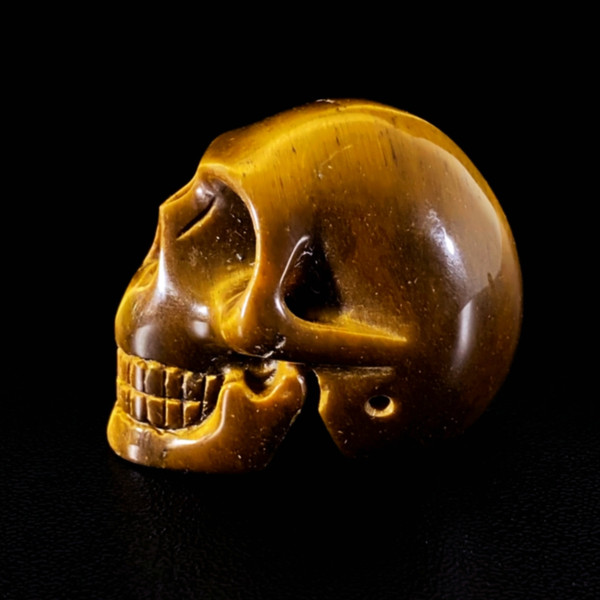 Raven's Carved Tigereye Crystal Skull