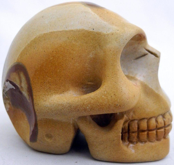Raven's Carved Wildhorse Picture Jasper Crystal Skull 1
