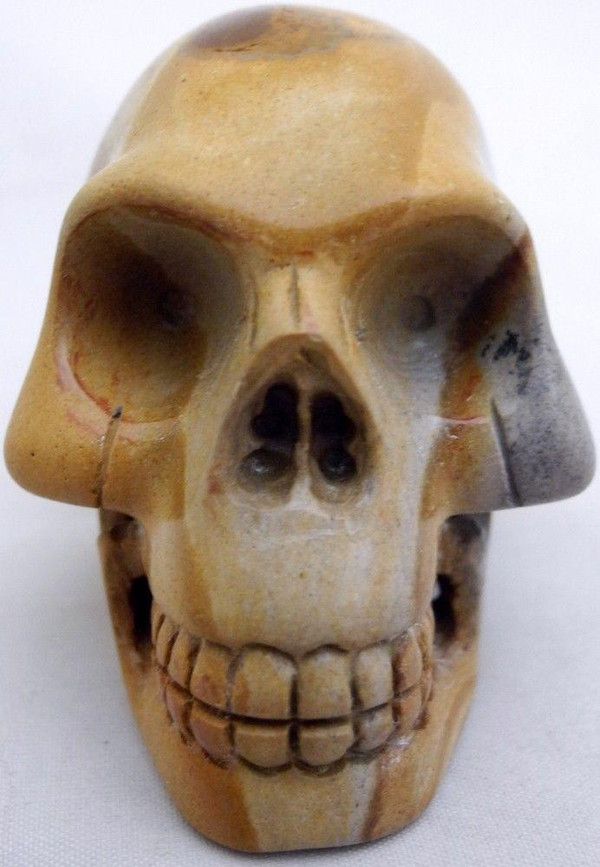 Raven's  Wild horse Picture Jasper Crystal Skull