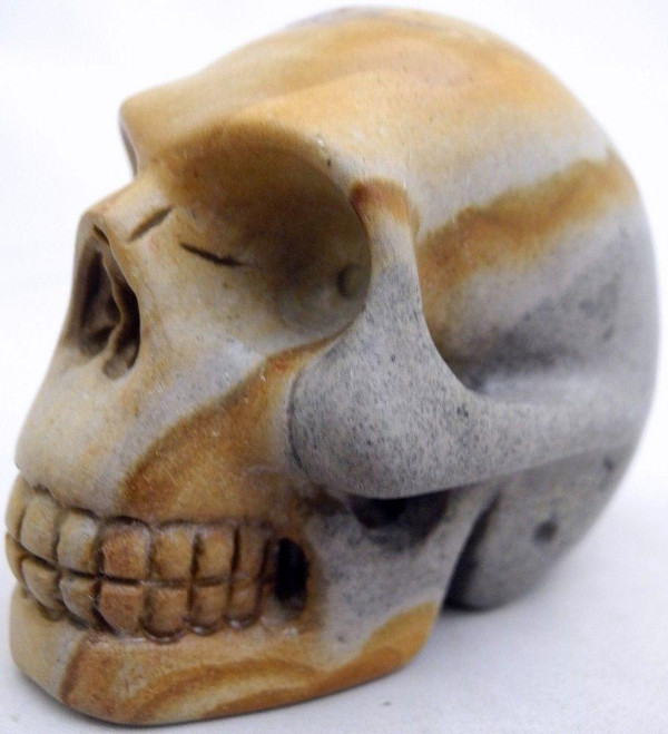 Raven's  Wild horse Picture Jasper Crystal Skull