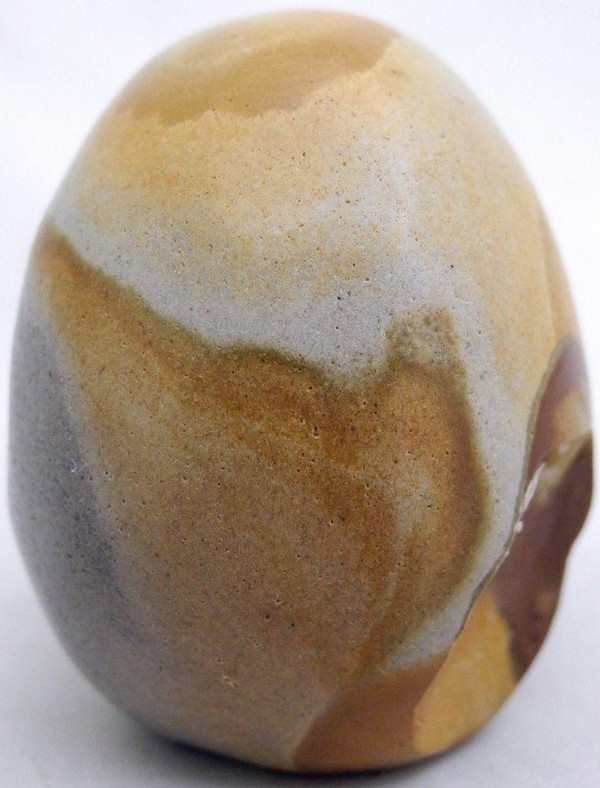 Raven's  Wild horse Picture Jasper Crystal Skull