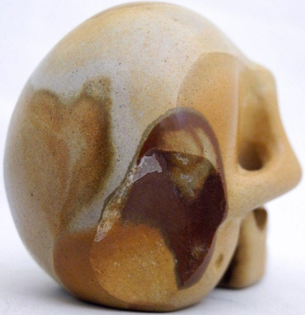 Raven's  Wild horse Picture Jasper Crystal Skull
