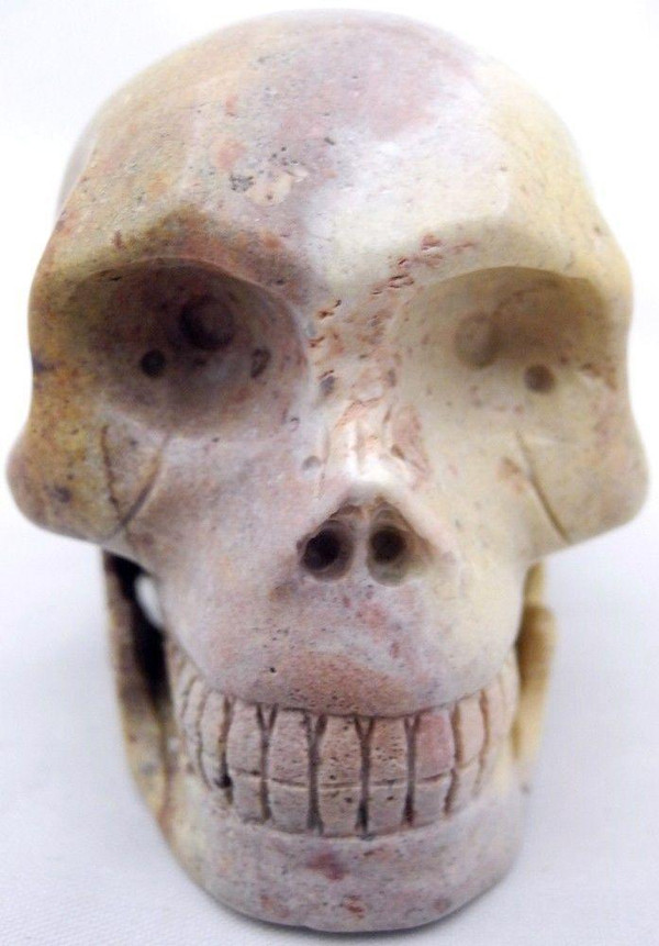 Raven's Fossilized Agatized Coral Crystal Skull
