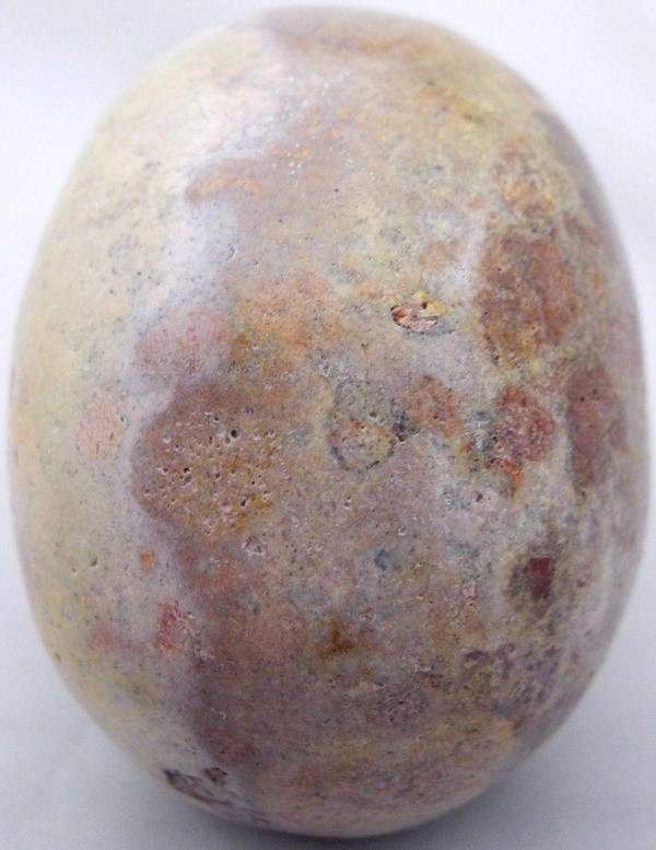 Raven's Fossilized Agatized Coral Crystal Skull