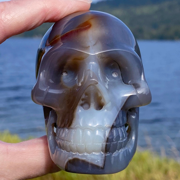 Raven's Carved Natural Blue Brazilian Carnelian Agate Crystal Skull