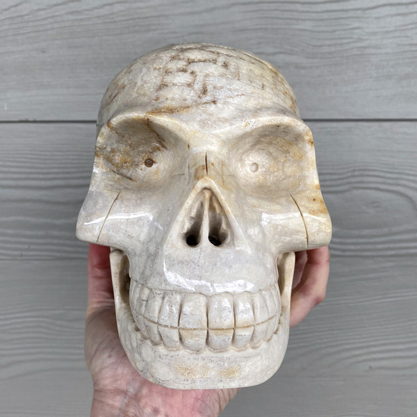 Raven's Classic Life Size Agatized Fossil Coral Crystal Skull Carving