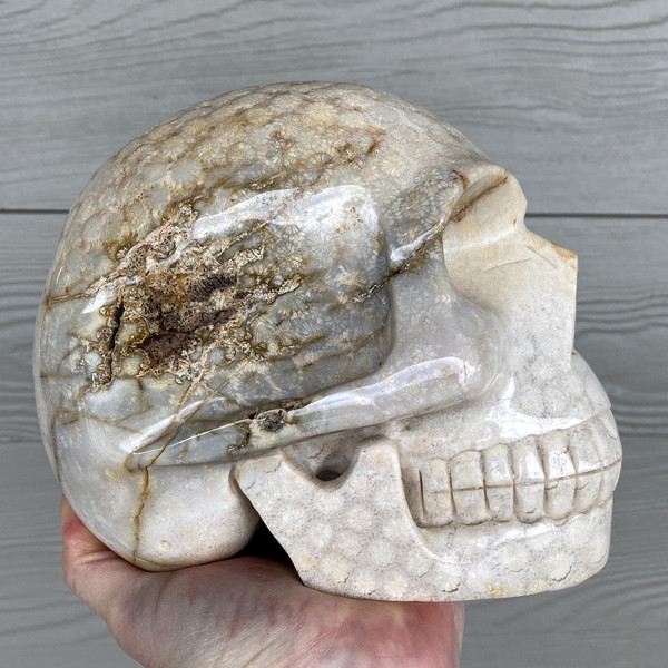 Raven's Classic Life Size Agatized Fossil Coral Crystal Skull Carving