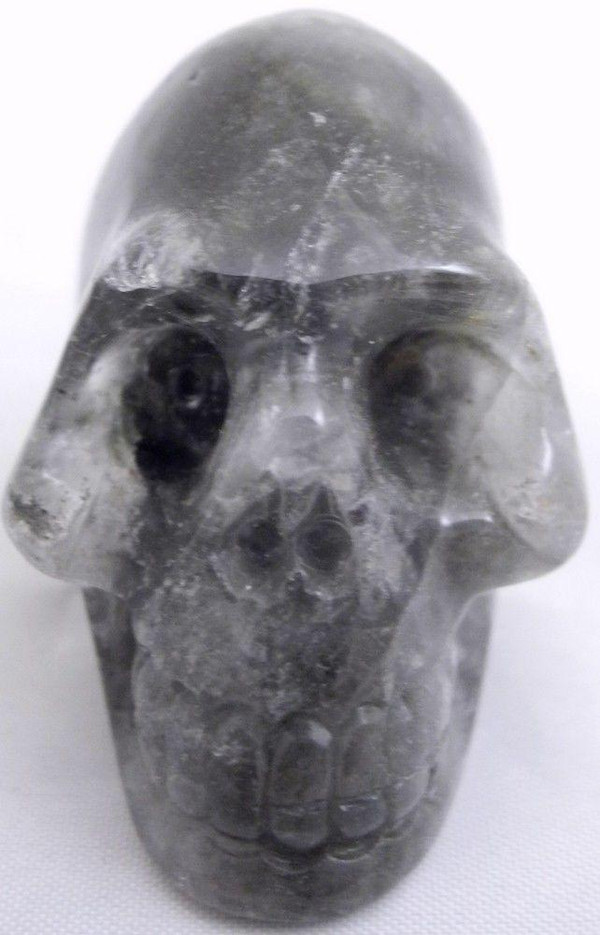 Raven's Carved Lodolite Quartz, Scenic Quartz, Garden Quartz Crystal Skull 1