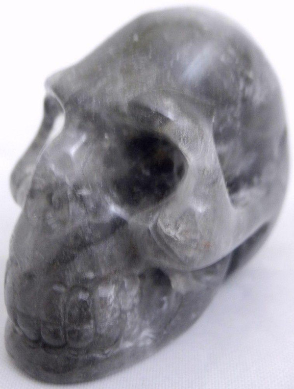 Raven's Carved Lodolite Scenic Garden Quartz Crystal Skull