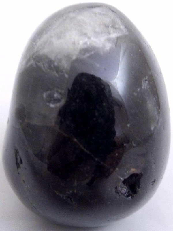 Raven's Carved Lodolite Scenic Garden Quartz Crystal Skull