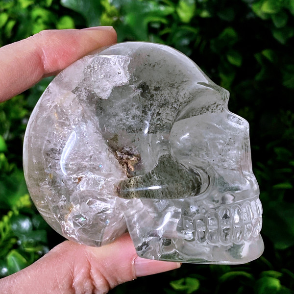 Raven's Chlorite Phantom Quartz Shaman Stone Lodolite Crystal Skull