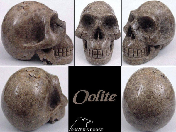 Raven's Carved Fossil Oolite Crystal Skull