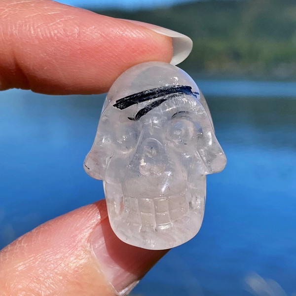 Raven's Black Tourmaline Needles Quartz Crystal Skull