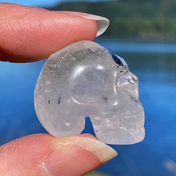 Raven's Black Tourmaline Needles Quartz Crystal Skull